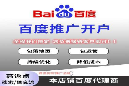 百度平台推广：成功案例解析与效果分析
